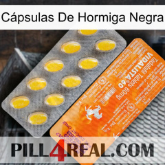 Cápsulas De Hormiga Negra new05